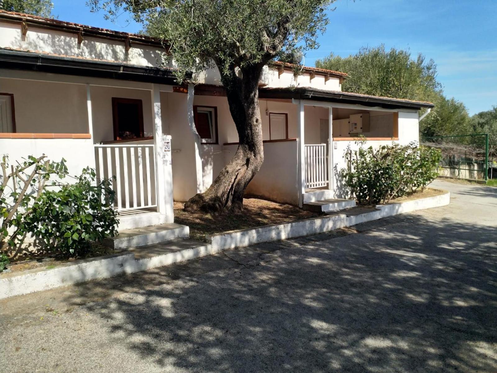 Villaggio Residence Villamarina Marina di Camerota Luaran gambar